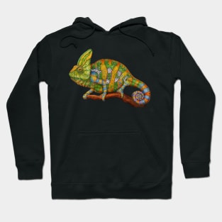 Veiled Chameleon Hoodie